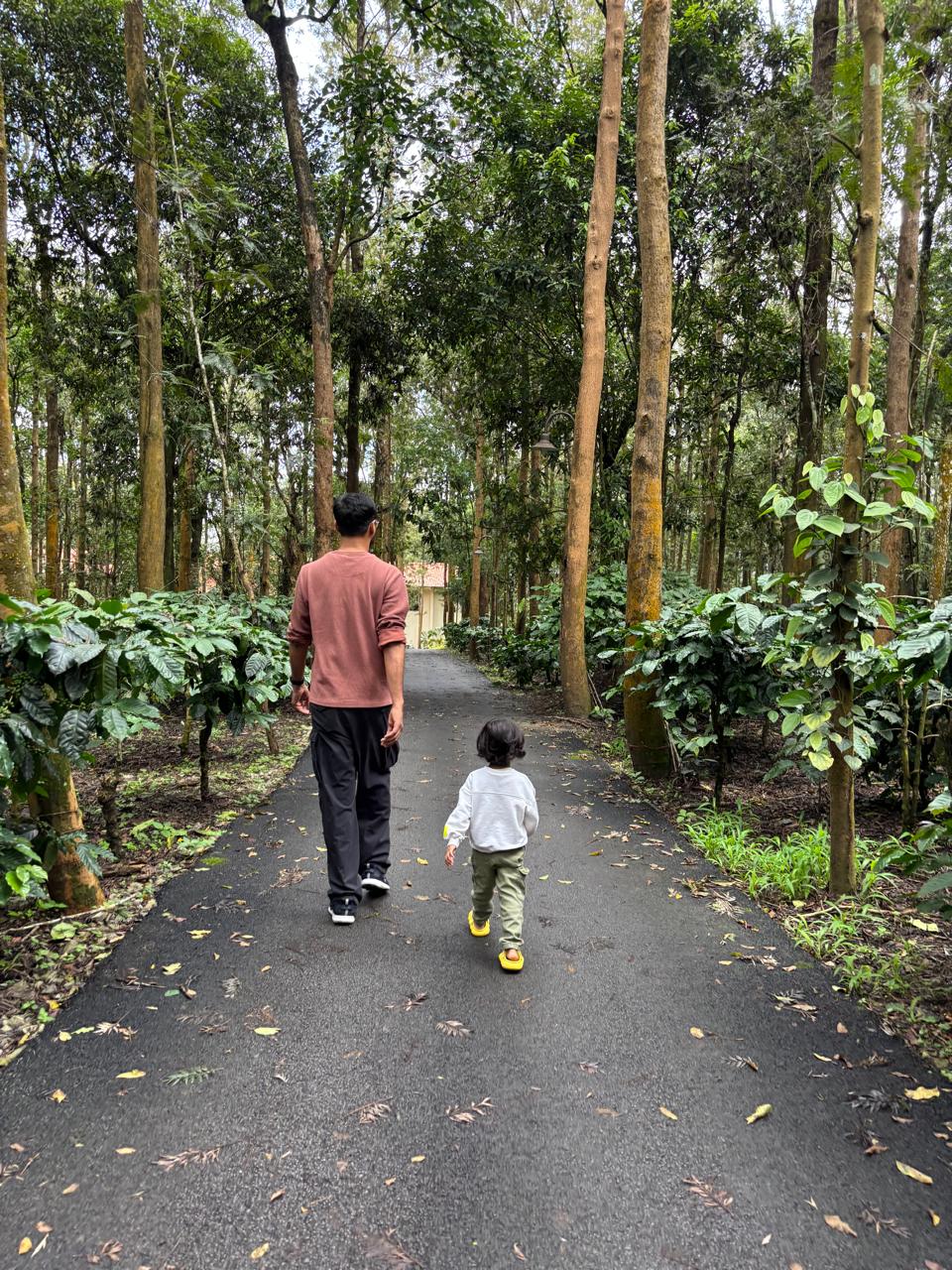 3-Day Sakleshpur Itinerary from Bangalore for Families with Kids