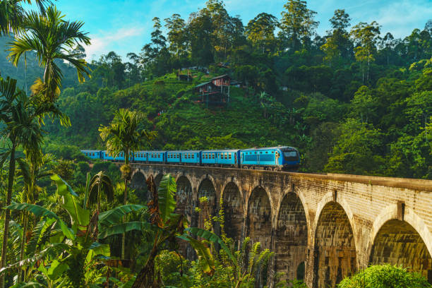 Visiting Sri Lanka with a Young Child — A Relaxed mom-approved 6-Day Itinerary & Budget