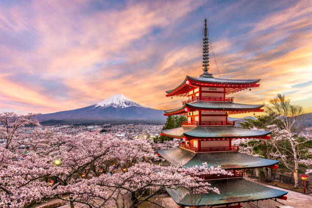Japan with a 3-Year-Old: 10-Day Itinerary shared by a nomado mom