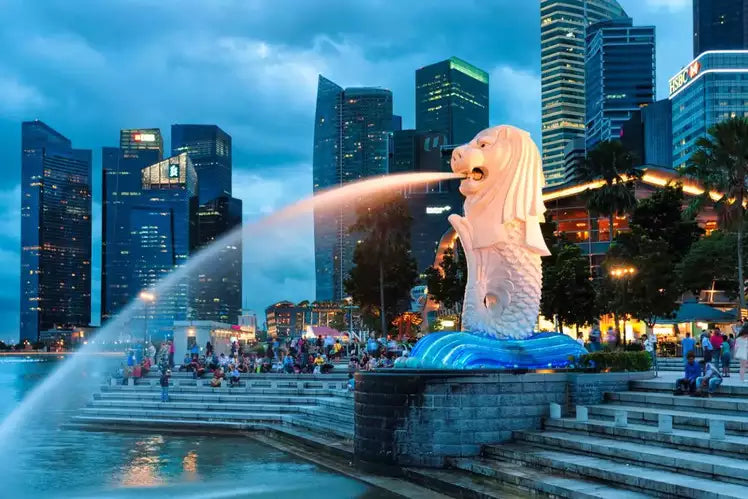 Singapore Itinerary with a Toddler: 5-Day Guide for Indian Families