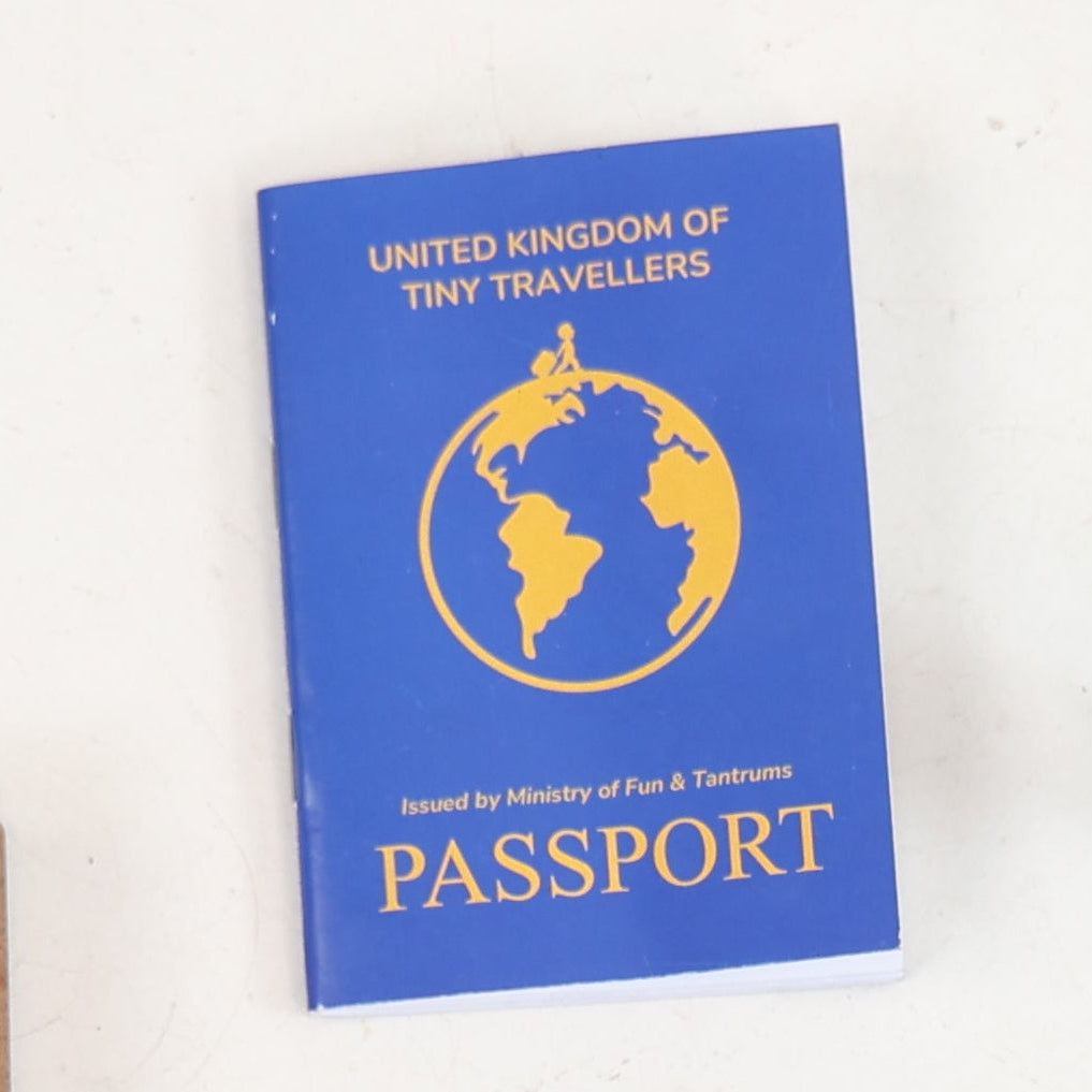 Tiny Traveller's Kit